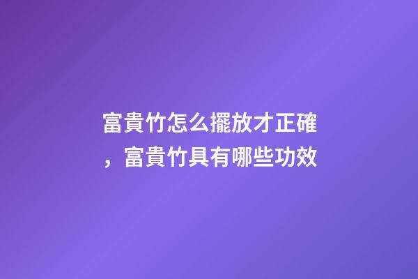 富貴竹怎么擺放才正確，富貴竹具有哪些功效